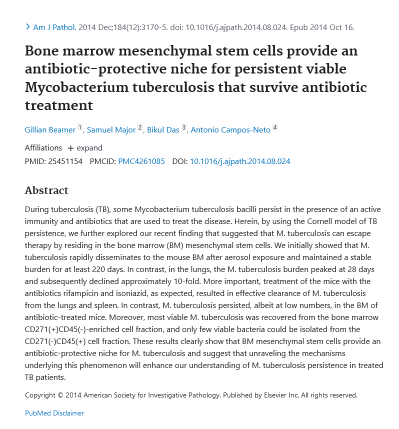 Image of Bone marrow mesenchymal stem cells provide an antibiotic-protective niche for persistent viable Mycobacterium tuberculosis that survive antibiotic treatment