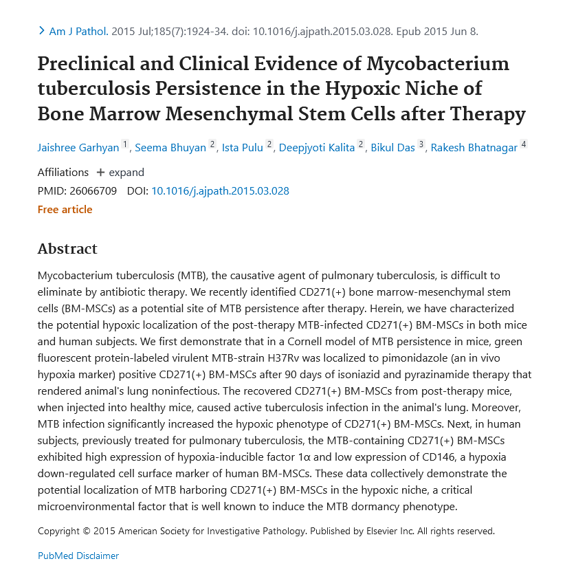 Image of Preclinical and clinical evidences of the Mycobacterium tuberculosis persistence in the hypoxic niche of bone marrow mesenchymal stem cells after therapy