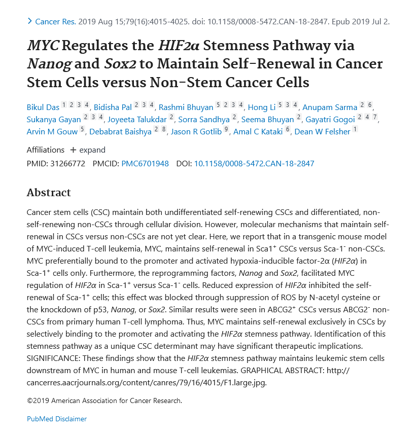 Image of MYC regulates the HIF-2alpha stemness pathway via Nanog and Sox2 to maintain self-renewal in cancer stem cells versus non-stem cancer cells