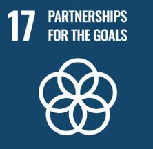 Sustainable Development Goal 17: Partnerships for the Goals